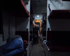 В России с вагона пассажирского поезда сняли китаянку с подозрением на коронавирус. Фото: скрин ТСН