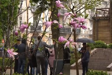 Погода в Україні навесні. Фото: скріншот YouTube-відео