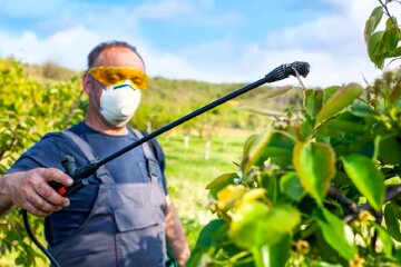 Сад, огород. Фото: YouTube