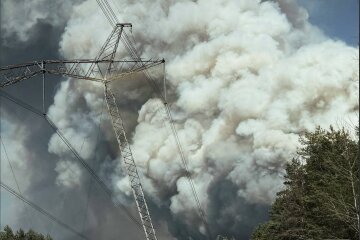 Пожежа в зоні відчуження ЧАЕС. Фото ДСНС Київщини 