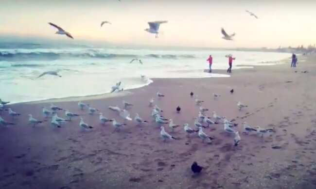 Одесса отключения. Фото: скриншот YouTUbe
