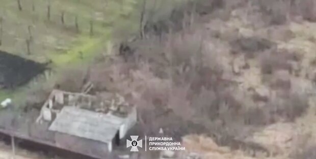 Хостел для уклонистов: пограничники обомлели наткнувшись на базу у границы. Видео