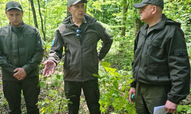 40% населених пунктів Закарпаття не забезпечені централізованим вивозом відходів: Держекоінспекція