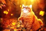 Погода на 6 ноября 2019 года