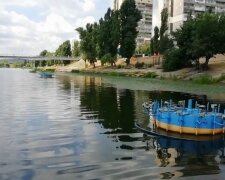 Киевлянам показали, что скрывают водоемы столицы: в этом купались люди