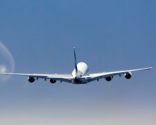 Известная компания честно призналась о проблемах в управлении одного из самолетов: может "заглючить" бортовой компьютер