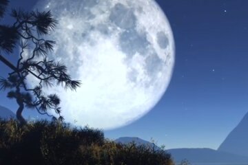 Гороскоп на 13 ноября 2020 года