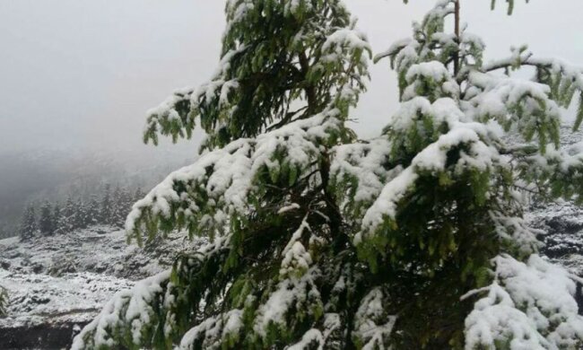 Источник: Слово и Дело