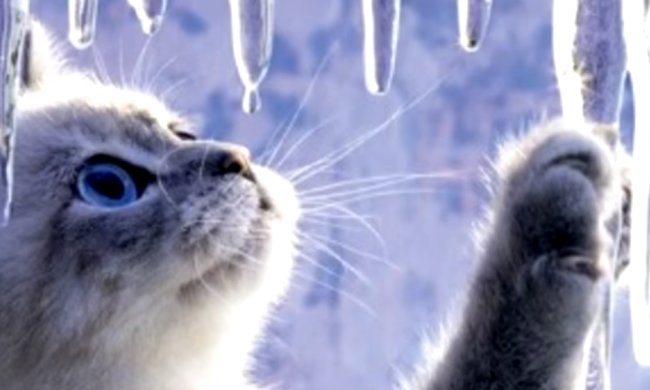 Погода на 10 февраля 2020 года