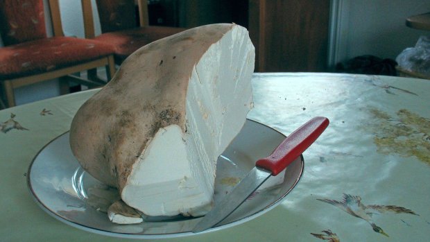 Вот это удача! Украинка нашла гриб-гигант, который весит почти 20 кг. Фото