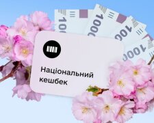 Національний кешбек, українці, виплати. Фото: з сторінки застосунку "Дія" в соцмережі
