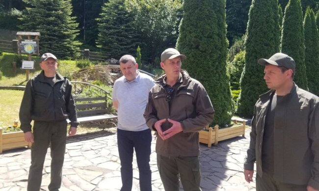 В Держекоінспекції розрахували, скільки збитків завдано рослинному світу з початку року