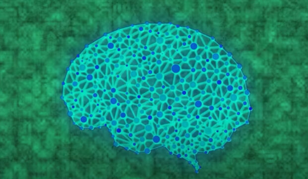 Мозг. Фото: youtube.com