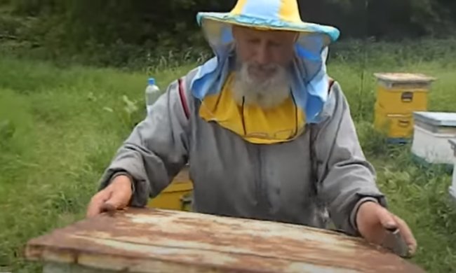 Пчеловоды: Скриншот YouTube