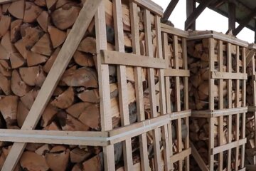 Дрова. Фото: скриншот YouTube-видео