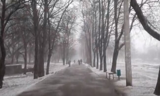 Снег. Фото: скриншот YouTube-видео