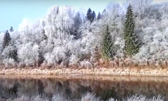 Заморозки. Фото: скриншот видео