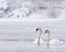 Погода на 14 февраля 2020 года