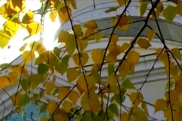 Осінній пейзаж. Фото: скріншот YouTube