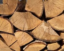 Напередодні важкої зими: українцям відповіли на головні питання щодо опалення дровами