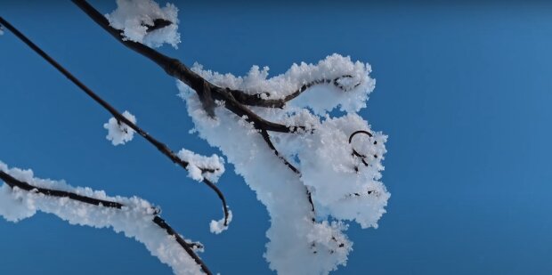 Заморозки. Фото: YouTube, скрін