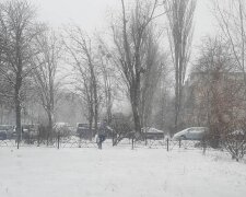 Зима в Украине. Фото: Стена