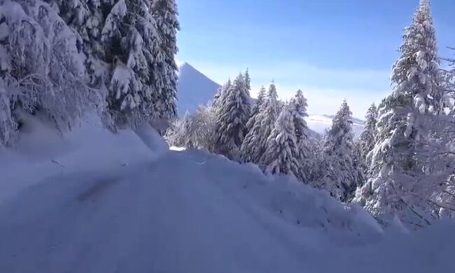 Природа. Фото: скріншот YouTube-відео