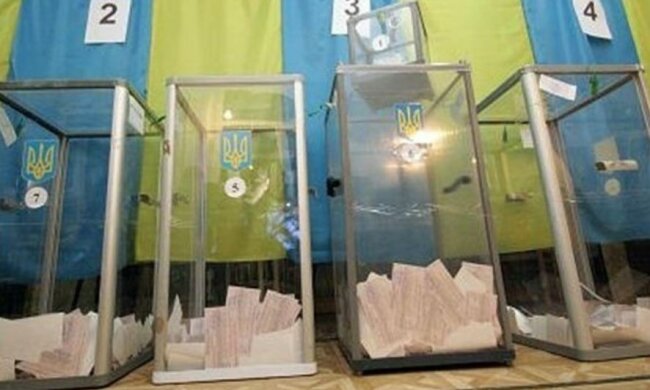 Съел заявление кандидата в мэры: на Киевщине предвыборная гонка проходит весело