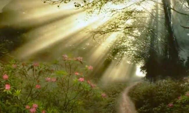 Легкое потепление, но ненадолго: погода в Харькове на 26 мая, прогноз синоптиков