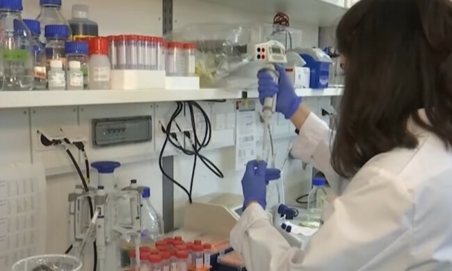 Статистика коронавируса. Фото: скриншот СТЕНА