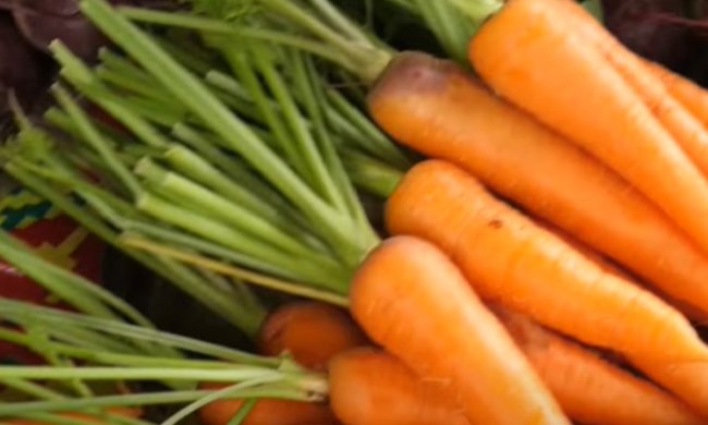 В Украине подорожает морковь. Фото: скриншот YouTube