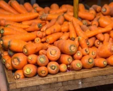 Морковь подорожала на 34% за неделю — цены в супермаркетах