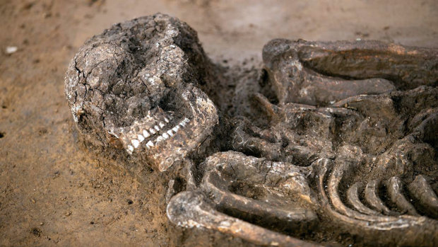 Древние скелеты «нашептали» исследователям о жуткой болезни. Что-то внеземное