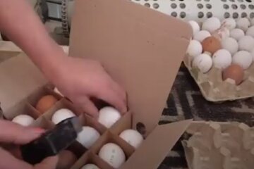 Яйца на продажу, фото: youtube.com
