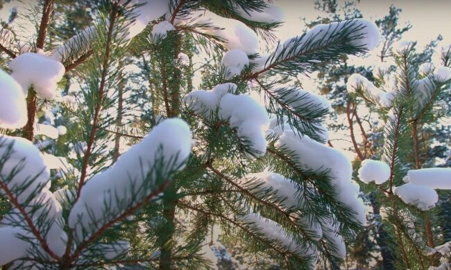 Зима. Фото: YouTube, скрін