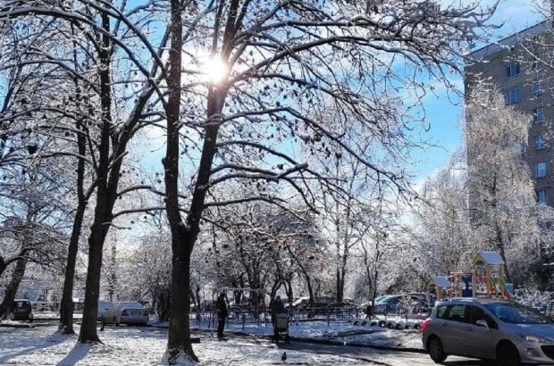 Зимний пейзаж. Фото: Ukrainianwall