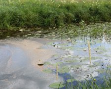 Скандал с отравленной водой: украинцев переводят на резервные источники