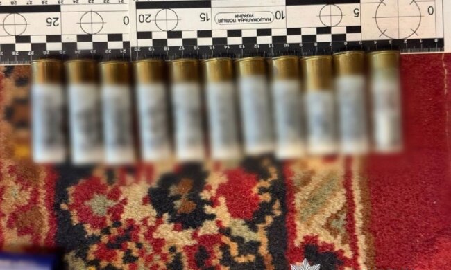 Корпуси гранат Ф-1 і РГН, підривачі та набої, вилучені поліцією Київщини