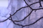 В Украине похолодает. Фото: ТСН