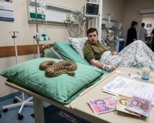 левантійська гадюка лікарня реанімація