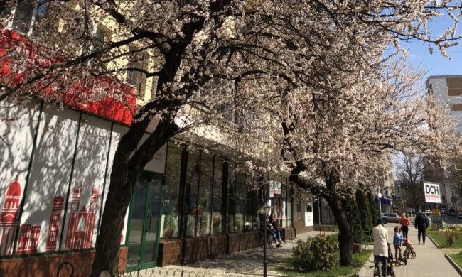 В Украине потеплело. Фото: Стена