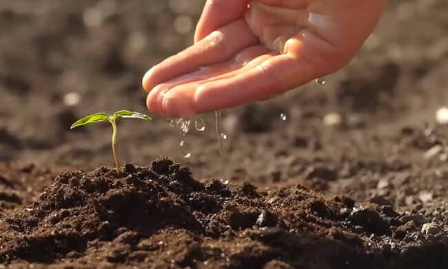 Город. Фото: YouTube