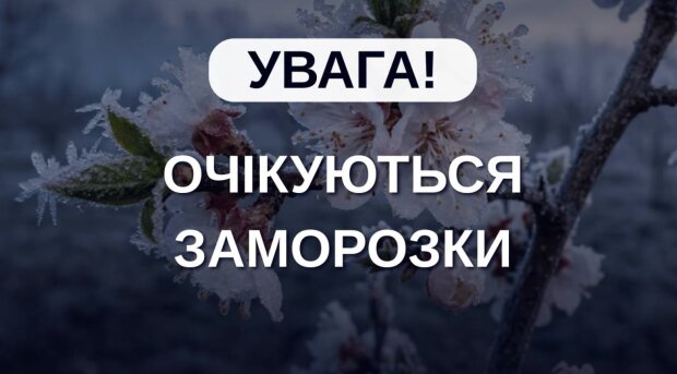 До -5 мороза: в Украину пришел арктический холод - прогноз погоды на неделю до 24 апреля.