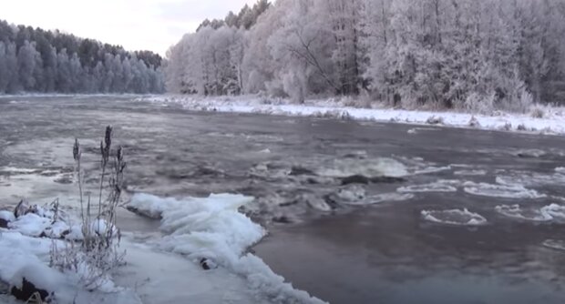 Природа взимку. Фото: скріншот YouTube-відео