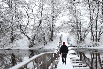 Синоптик рассказала о погоде 23 января - снег и оттепель. Фото: скриншот YouTube-видео