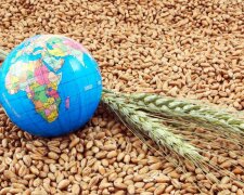 Ініціативу Зеленського «Зерно з України» підтримують вже понад 40 держав світу, — нардеп Пушкаренко