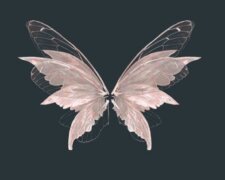 Метелики. Фото: Телеграм