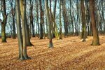 Погода в Украине. Фото: скриншот Youtube-видео