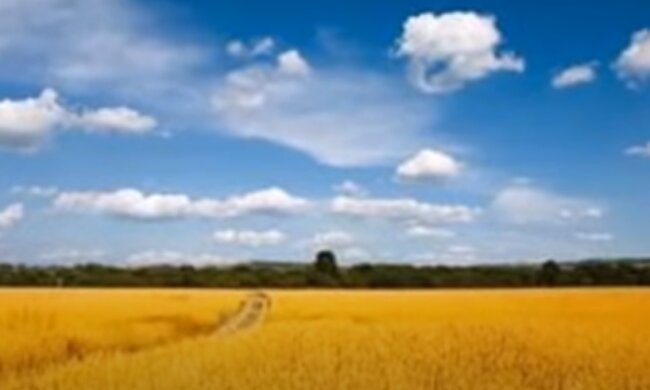 Погода 5 сентября 2020 года!