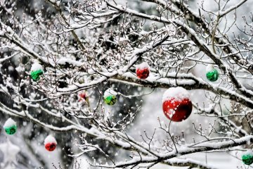Погода в Украине на зимние праздники, фото - Главред